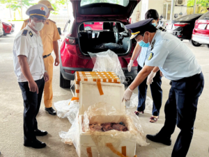 Lực lượng chức năng tỉnh Phú Thọ phát hiện xe ô tô vận chuyển 110kg nội tạng trâu, bò, lợn đang rỉ nước, bốc mùi hôi thối, vi phạm tiêu chuẩn an toàn thực phẩm. (Ảnh: Huyền Trang)