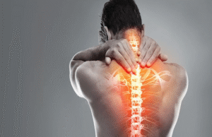 10 Vị Thuốc Đông Y Quen Thuộc Quanh Nhà Hỗ Trợ Điều Trị Bệnh Cơ Xương Khớp